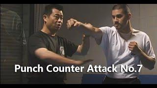 Punch Counter Attack No.7 #foryou#SelfDefense#Gongfu#Qinna