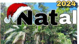 O Espírito Natalino na Família Naturista| Como está a preparação para o Natal 2024