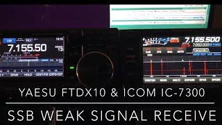 FTdx10 & IC-7300: SSB Weak Signal RX (Video #17 in this series) #hamradio #ftdx10 #ic7300