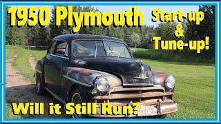 Will it Still Run? 1950 Plymouth Start-Up & Tune-Up!