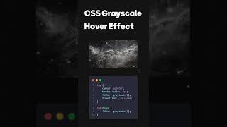 CSS Grayscale Image Hover Effect   #shorts