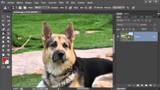 Como usar l herramienta de clonar en photoshop cc www.videotutoriales.es