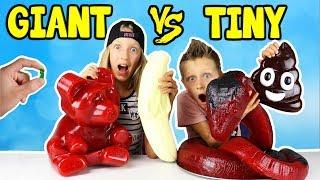 GIANT GUMMY vs TINY GUMMY!!!