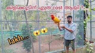 കിളിക്കൂട് ഉണ്ടാക്കാൻ എത്ര cost ആയി?. New food feeder unboxing #petflix