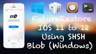 [Windows] How to FutureRestore [Upgrade] iOS 11-11.4.1 to iOS 12-12.1.2 with SHSH Blobs on Windows