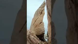 WHAT ??ANGEL’S WING or SHARK’S FIN #shorts #shortvideo #viral #explore #asmr #nature