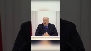 "Лукашенко давно на нём, уже лет 30 сидит!" // Про "антикоррупционного коня" #shorts