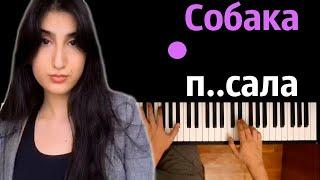 Собака п..сала (Chernaya Princessa) ● караоке | PIANO_KARAOKE ● ᴴᴰ + НОТЫ & MIDI