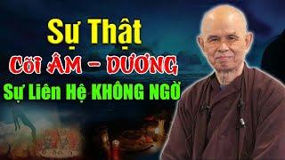 SỰ THẬT VỀ CÕI ÂM DƯƠNG, Sự Liên Hệ KINH HOÀNG Mà Chúng Ta Chưa Từng Biết | TS Thích Nhất Hạnh