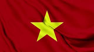 Vietnam Flag Waving Background | HD | ROYALTY FREE
