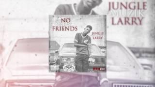 Jungle Muzik Larry- No New Friends