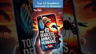 Top 10 Deadliest Animals to Humans