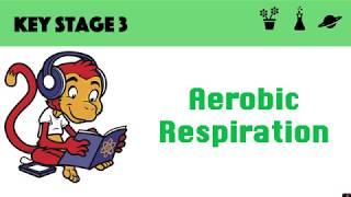 Aerobic Respiration