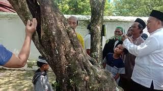 pohon gandrik Ki Ageng Selo// doa ketika ada petir