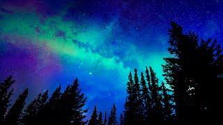 Deep Sleep Music with Sounds of Night  Relaxing music with nature sounds