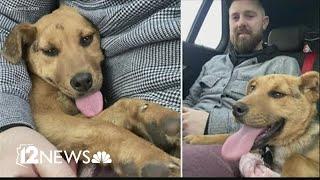 Family rescues dog abandoned in the Arizona desert