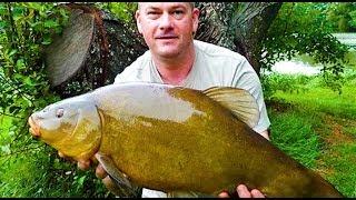 Самая Большая в Мире пойманная Рыба # Линь весом 7.5 кг