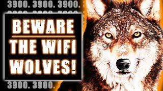 WiFi WOLVES - SCP-3900 - SCP BITESIZE