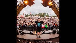 Steve-D @ Defqon.1 Festival 2024 (Gold Stage)