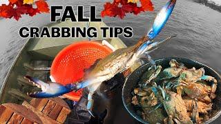 Fall Crabbing Tips & Rockfish: Understanding Crab Movement to Catch More Blue Crabs: Chesapeake Bay