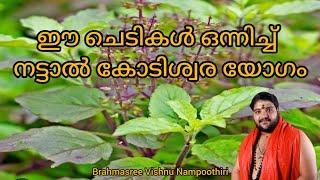 ഈ ചെടികൾ ഒരുമിച്ച് നട്ടാൽ കോടിശ്വര യോഗം | 9567955292 | Brahmasree Vishnu Nampoothiri |  astrology