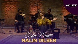 Ceylan Koynat - Nalın Dilber (Cover)