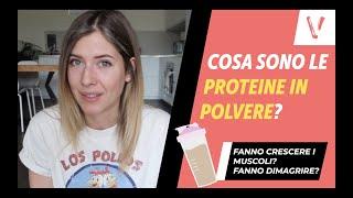 Cosa sono le PROTEINE IN POLVERE?