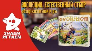 Настольная игра Эволюция. Естественный отбор. Обзор от Знаем Играем