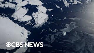 Melting ice may slow Earth's strongest ocean current, research shows