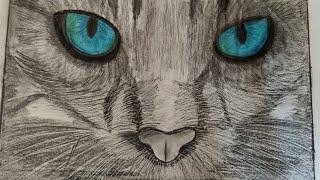 wild cat sketch.... inspired by @Art by Ali Haider