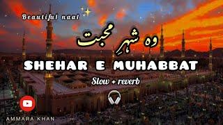 Shehar e muhabbat || heart touching naat️ | slow and reverb  + lyrics #2023