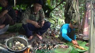 Hunting and Cooking Birds In The Jungle | Yos hav zoov tua noog