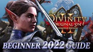 2022 Beginner's Guide For Divinity Original Sin 2 Definitive Edition