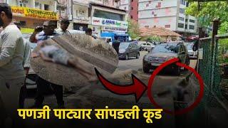 Dead Body Found At Patto-Panjim || GOA365 TV