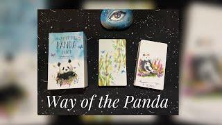 Way of the Panda Tarot - Unboxing & Walkthrough