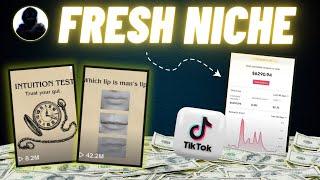 TikTok Creativity Program pays $110 a day on this niche (Secret Blueprint + Bonus)