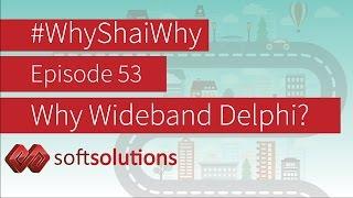 Why Wideband Delphi Works (Agile Estimating) - #WhyShaiWhy Ep 53
