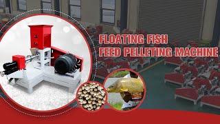 Floating fish feed extruder | Floating Fish Feed Pellet Machine By Dry Way