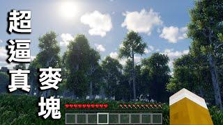 Minecraft 從沒看過的『頂級真實感畫面』的世界，生存挑戰魂系等級最強怪物會發生什麼事？