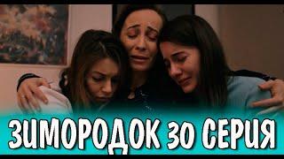 Зимородок 30 серия на русском языке. Новый турецкий сериал