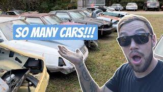 Walking Thru My Dads HUGE Mustang Yard!!!