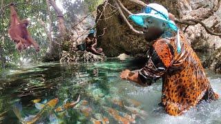 Clear Lake Surrounded by a Haunted Forest, Nesting with High-end and Expensive Fish.