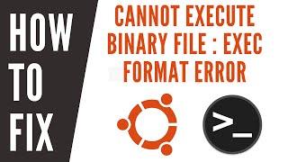 Bash ./ Executable : Cannot Execute Binary file : Exec Format Error