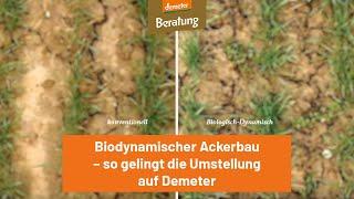 Biodynamischer Ackerbau – so gelingt die Umstellung auf Demeter