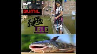 GABUTBUMIL  kuras k️lam LELE