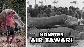 Ikan Air Tawar Terbesar Yang Pernah Ditangkap Manusia!