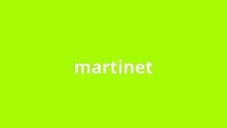 what is the meaning of martinet