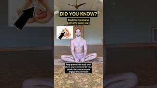 Butterfly pose (baddha konasana) benefits ️ #butterflypose #perineum #pelvicfloor #shorts #yoga