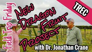 Field Trip Friday- New Dragon Fruit Project at TREC