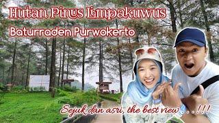 Wisata Alam Hutan Pinus Limpakuwus Baturraden Purwokerto || Review Terbaru 2024